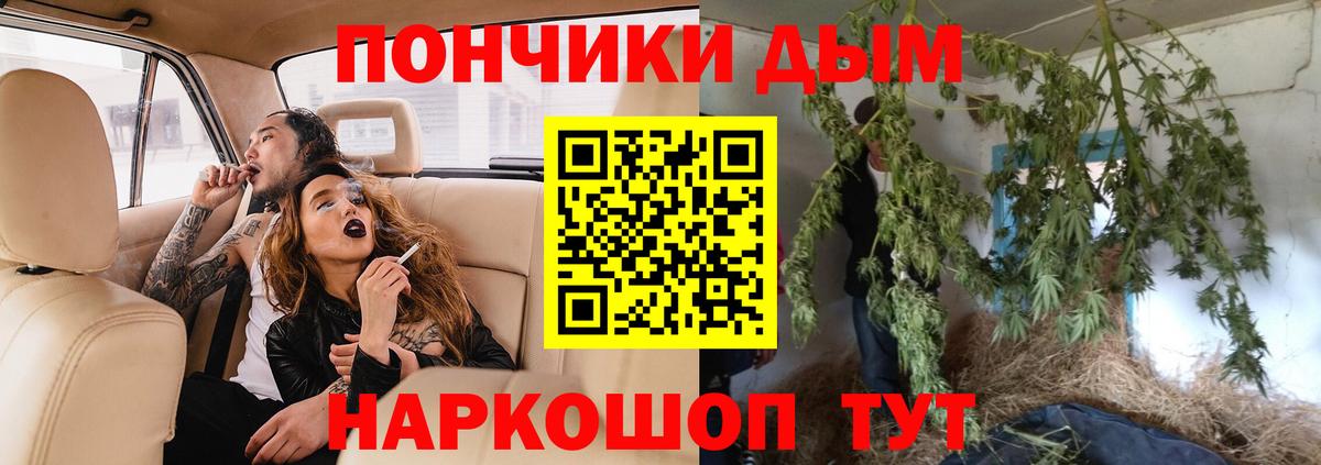Прокопьевск  Бошки Шишки план  Каннабис семена  Вход с VPN 